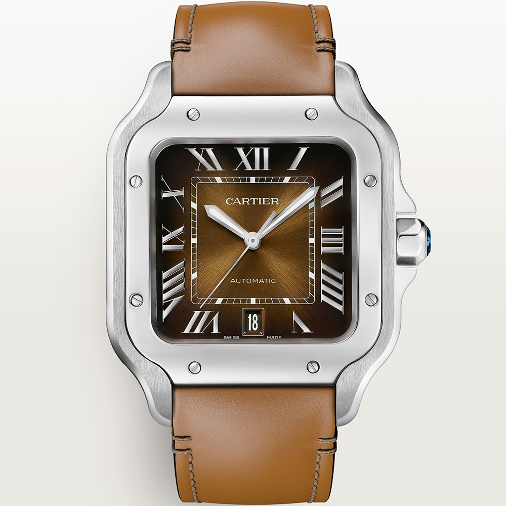 Cartier Santos De Cartier Wssa0079