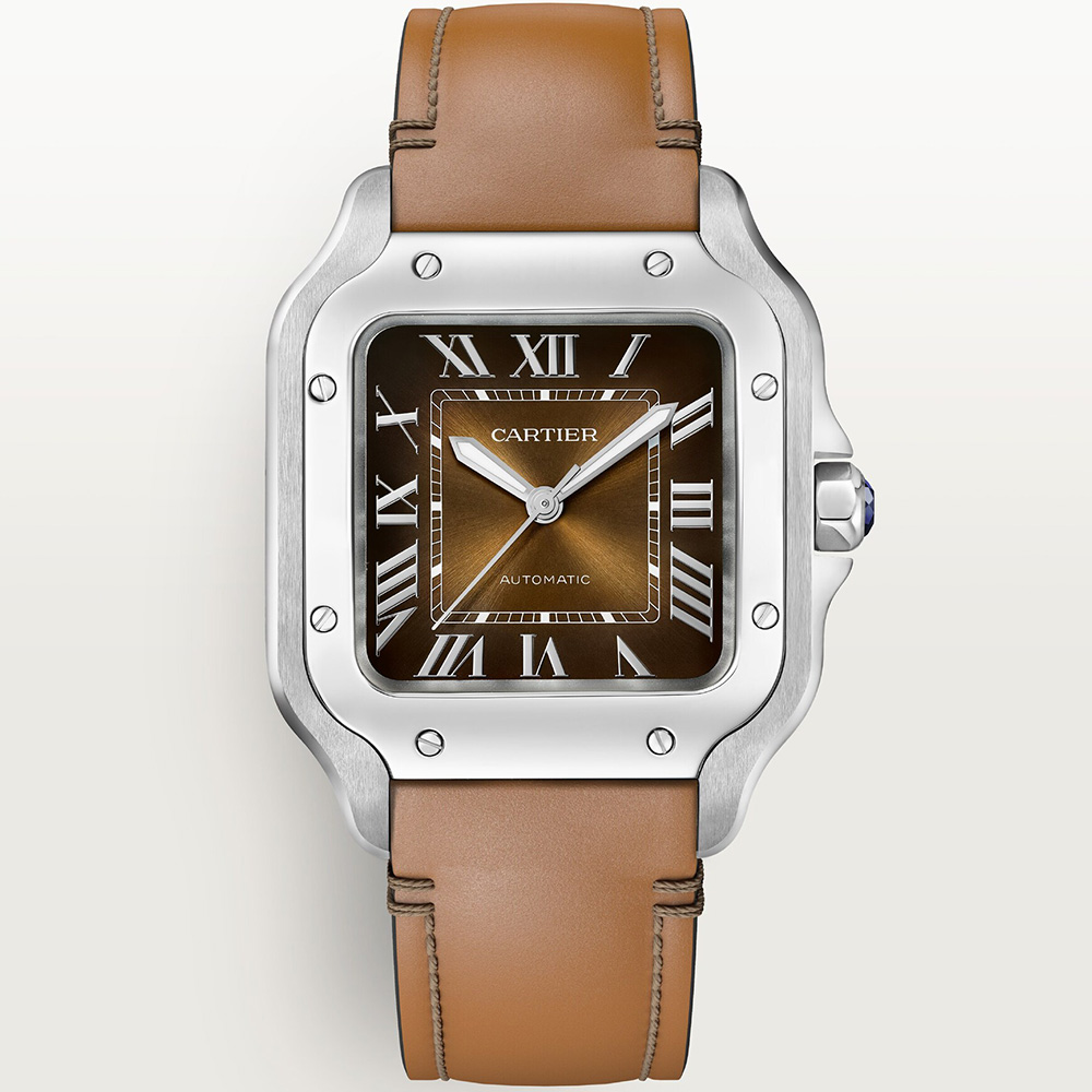 Cartier Santos De Cartier Wssa0081