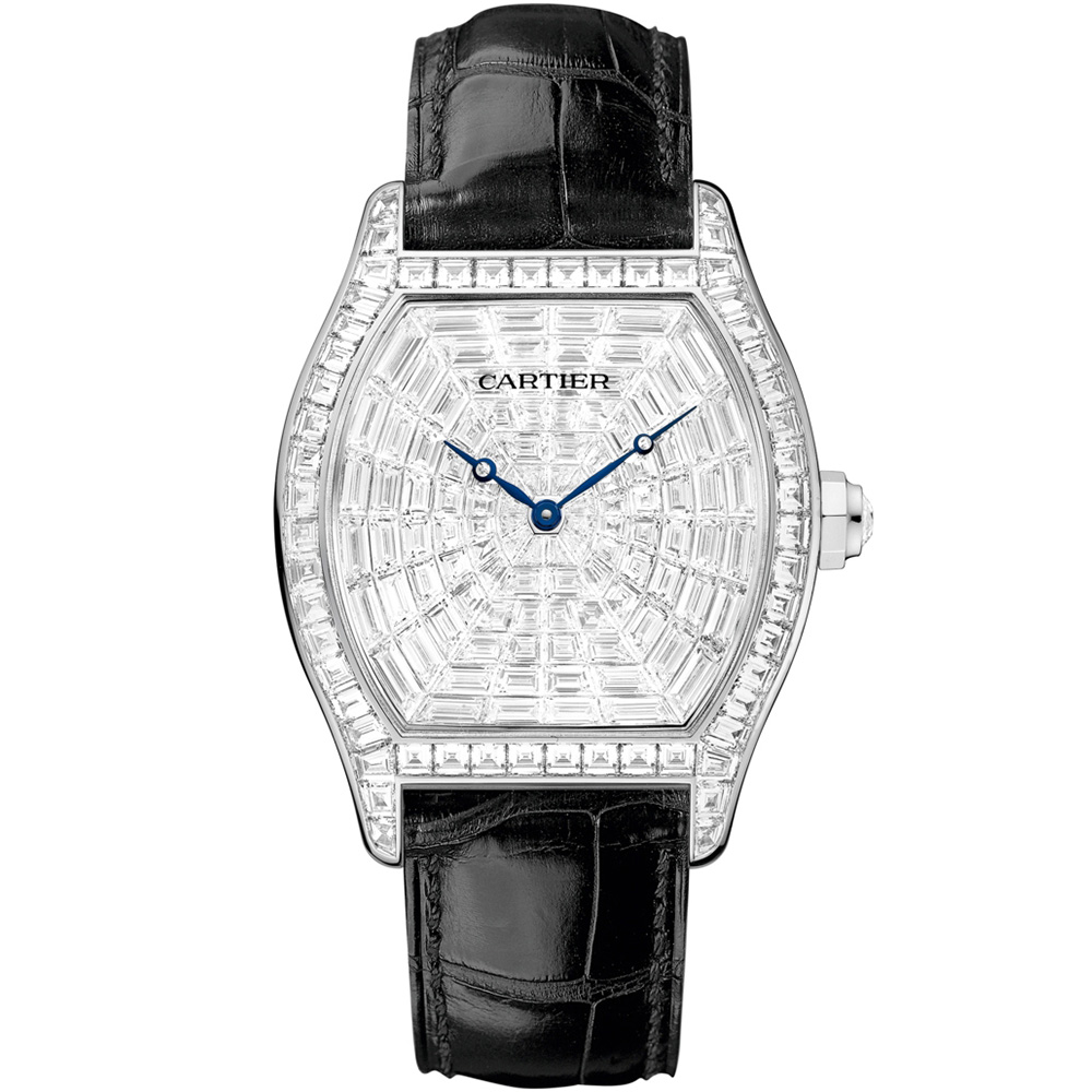 Cartier Tortue Hpi00502