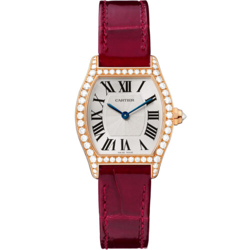 Cartier Tortue Wa501006