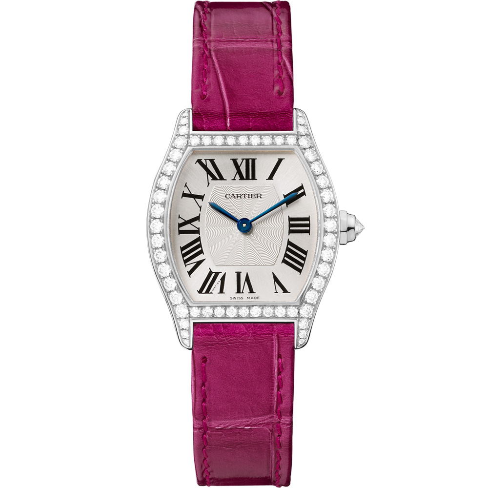 Cartier Tortue Wa501007