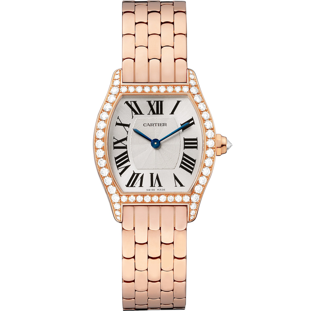 Cartier Tortue Wa501010
