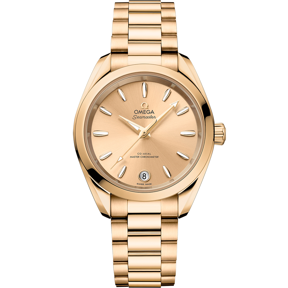 Omega Seamaster 220.50.34.20.08.001