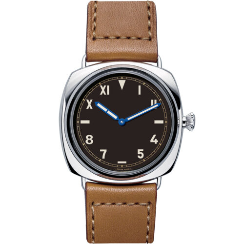 Panerai Radiomir Pam00262
